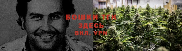 ПСИЛОЦИБИНОВЫЕ ГРИБЫ Бронницы