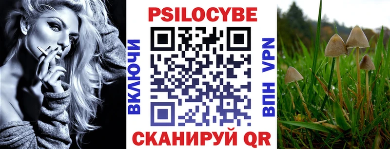 OMG   Собинка  Псилоцибиновые грибы Psilocybine cubensis 